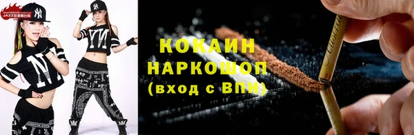 прущие грибы Магас