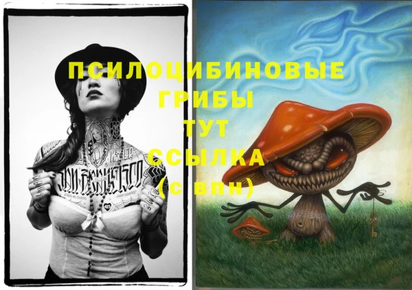 прущие грибы Магас