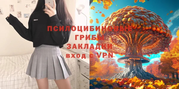 прущие грибы Магас