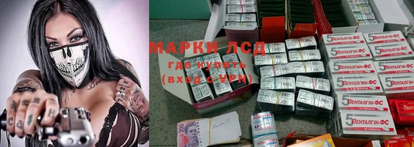 дмт Вяземский