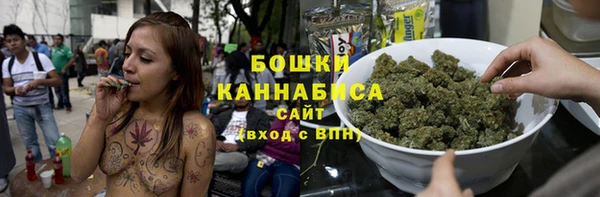 прущие грибы Магас