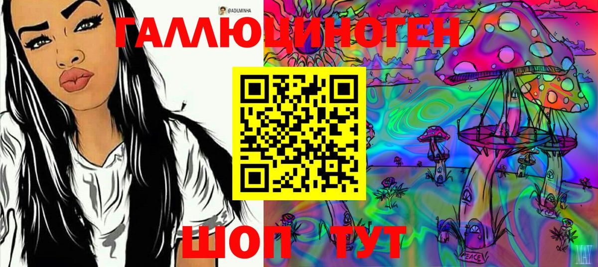 Псилоцибиновые грибы Cubensis  Дивногорск  закладка  Псилоцибиновые грибы MAGIC MUSHROOMS 