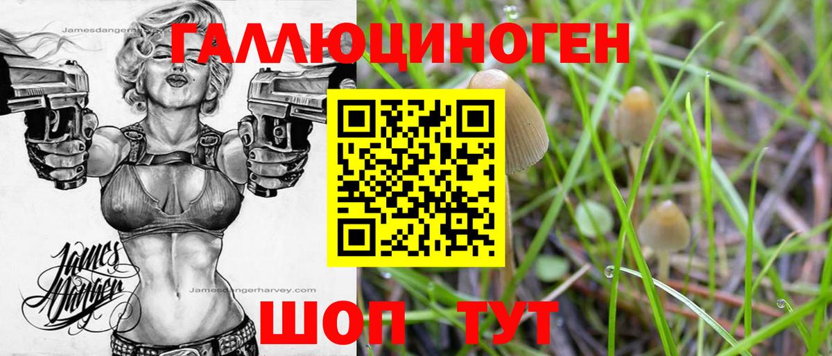 A PVP Дивногорск