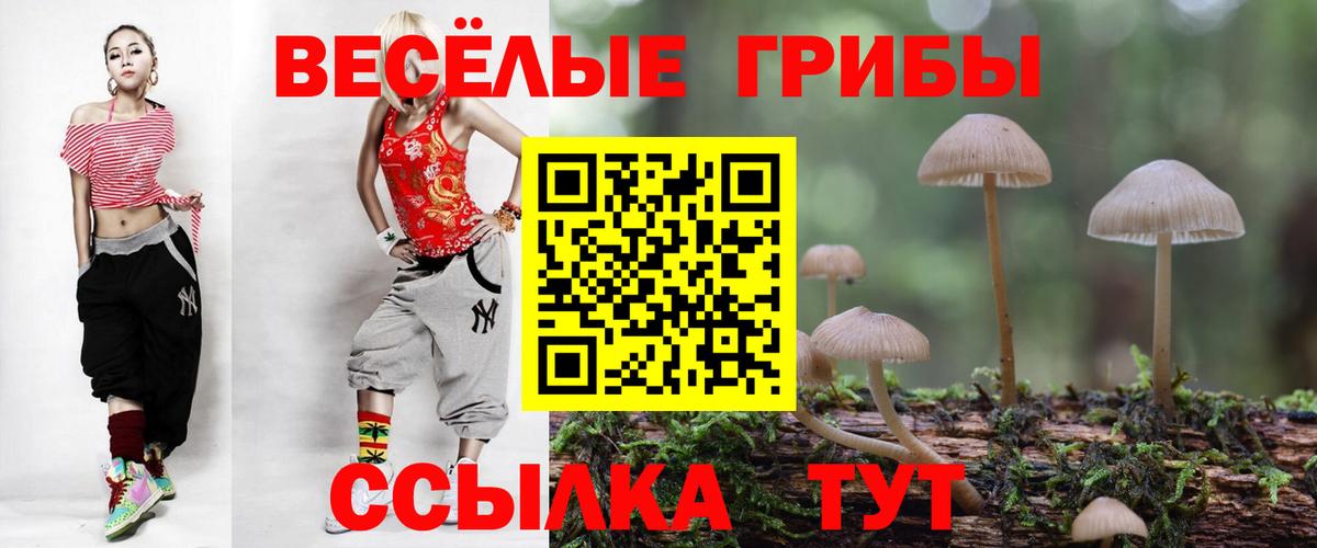Галлюциногенные грибы Cubensis  Вход с VPN  Дивногорск  Галлюциногенные грибы ЛСД 