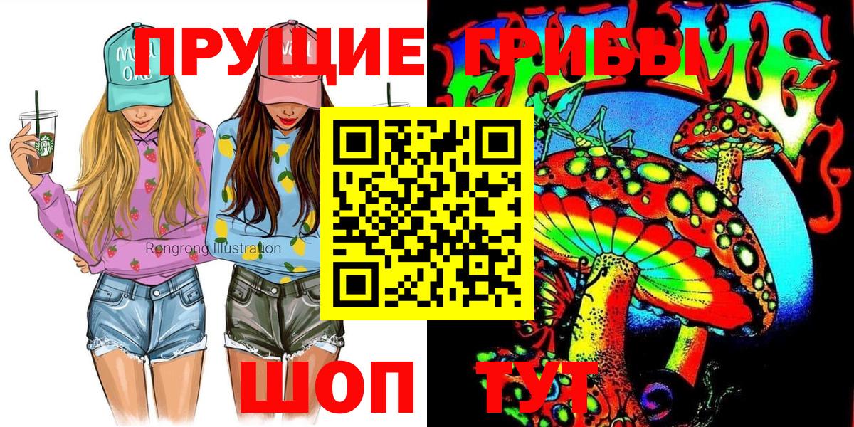 Псилоцибиновые грибы Psilocybe Дивногорск